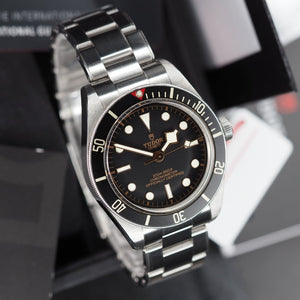 Tudor Black Bay 58 79030N (2020)