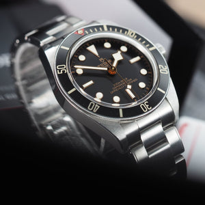 Tudor Black Bay 58 79030N (2020)